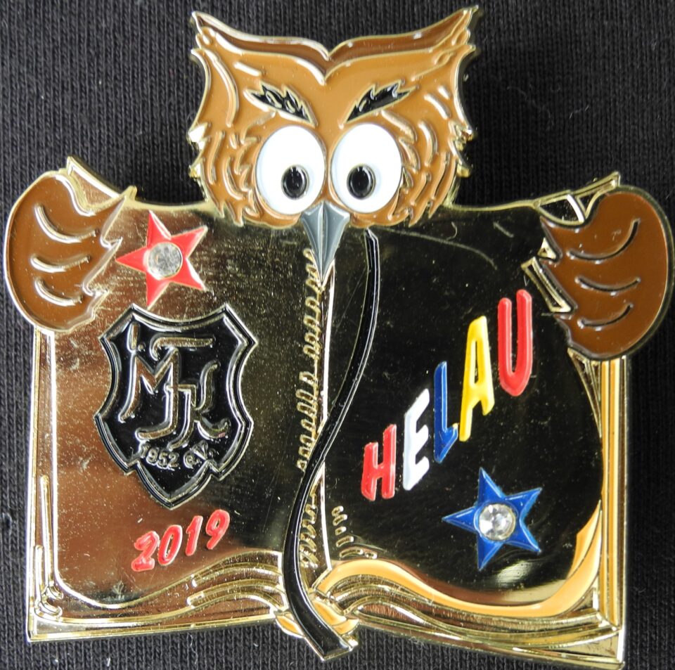 Kampagnenorden 1.MFK 2019